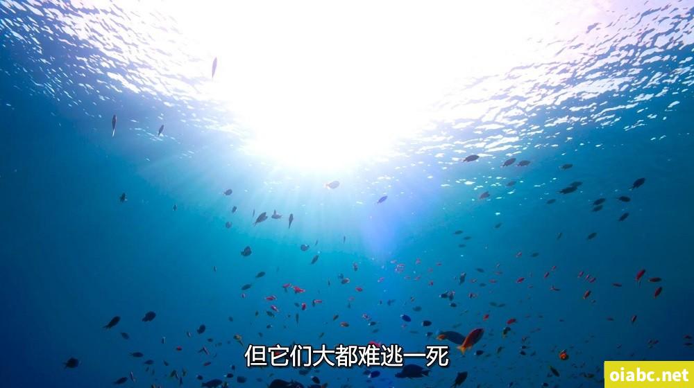 女法医jd 电视剧剧照3